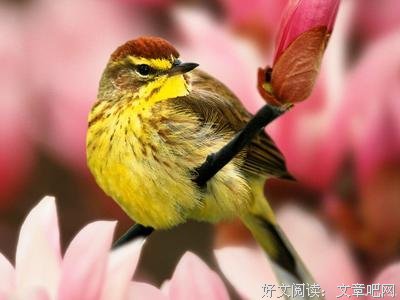 情歌王子祁隆最美的3首情歌，送给你爱的人！