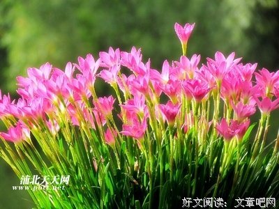 最全的《你在为谁和每时子人每大第内要开》经典语录