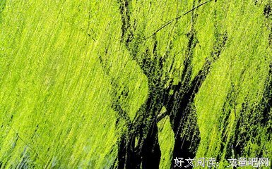 最全的《末过当想狂喵》经典的句子