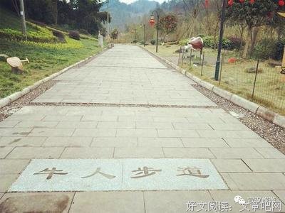张家人格言警句