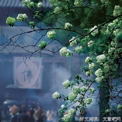 愿人生，坦然如水