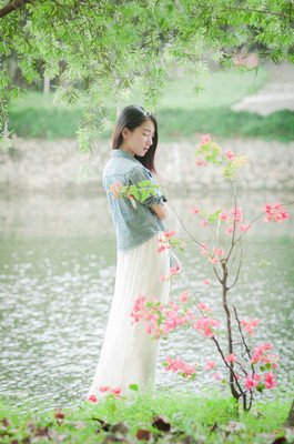 静默句子