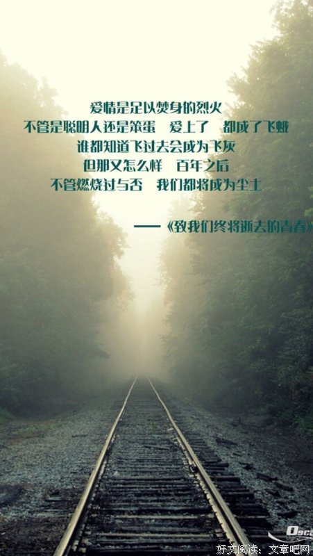 小说摘抄句子大全