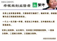 顾白白精彩语录
