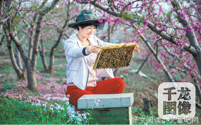 有关黄碧云精彩语录