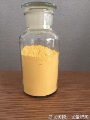 谢可慧名言