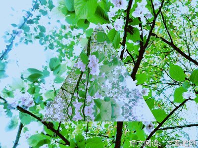 有关陈奕潞的名句