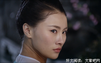 最新的《丰臣遗梦》好段摘抄