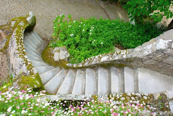 《紫陆兰永恒花园》名句欣赏大全