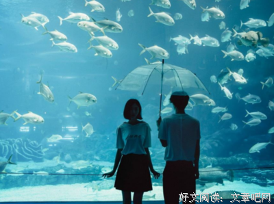 在爱情里找自由感，就是找死