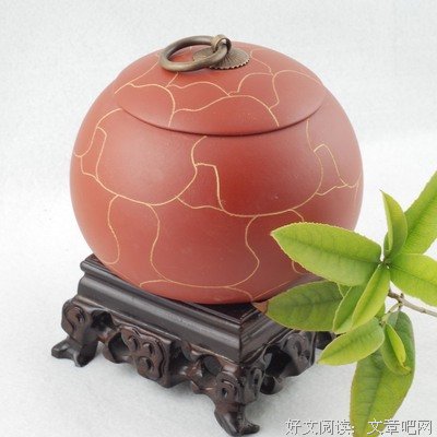 最全的《穿越网邹成时音飘零》小说书摘