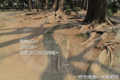 阿耨多罗的句子