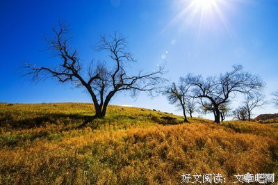 哈哈哈句子大全