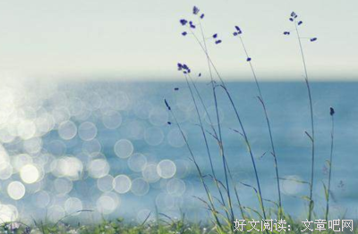 关于我为你停留的优美句子