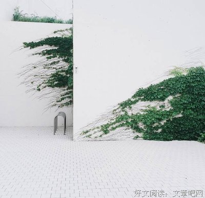 有关中岛哲也的名言