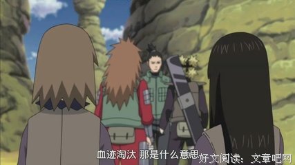 最全的奈良鹿丸名言