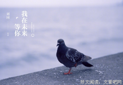 最全的《我在书店等你》经典的句子