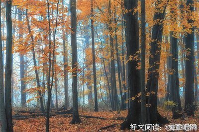 最全的《来自心萌心语的999封情书》名句欣赏