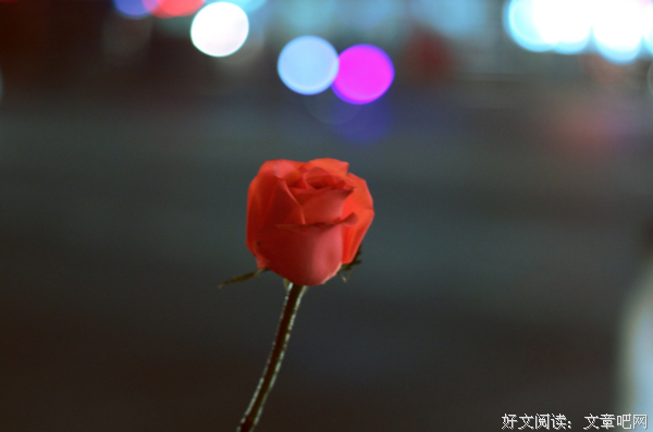 最新的《重新暗恋》名句欣赏