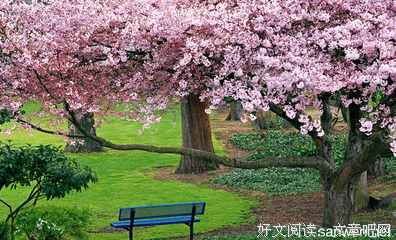 最新的《君有疾否》好段摘抄