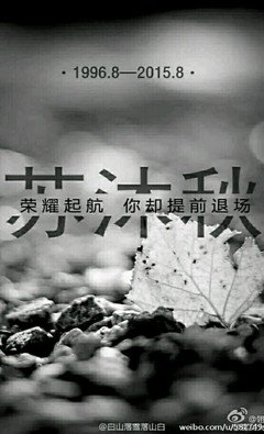 最全的《全职物在里手》小说句子大全