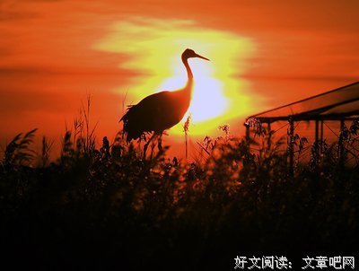 最经典的《重生和死对头he了》经典语录