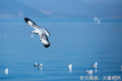《时光殿堂》经典语句