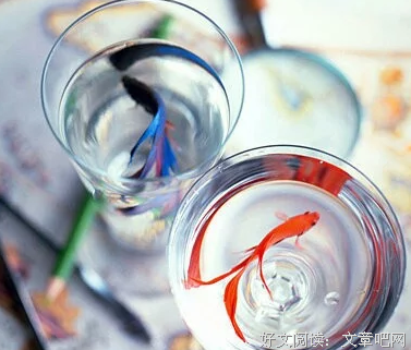 最全的《深渊上的火》小说句子