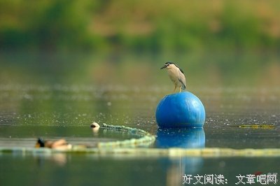 关于夜郎自大的格言