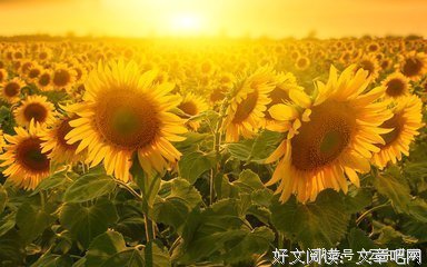 死寂好词好句