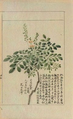 有关杂说的句子