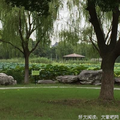 我本楚狂人的句子