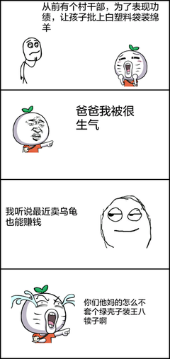 最新的甲鱼不是龟名言