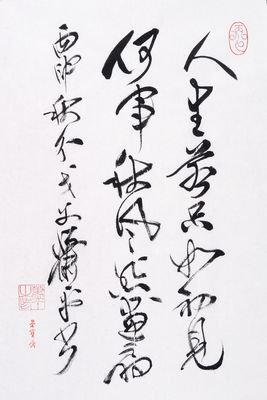 有关纳兰容若名言大全