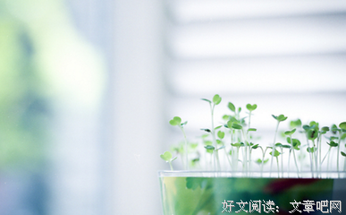 “本人女，85年属牛，虚岁35，未婚。”