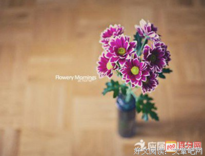 关于铃木大拙座右铭