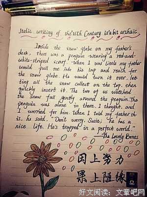 最全的《圣经》好段摘抄大全