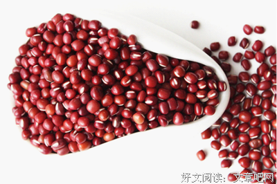 夏蝉鸣的句子