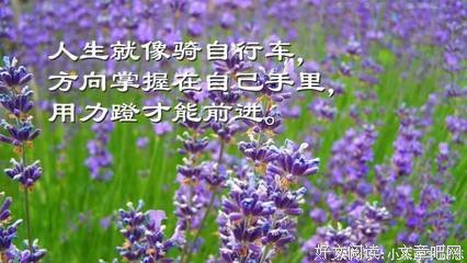 关于可怕的句子