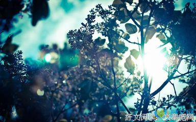 倾其所有，只为你！的句子