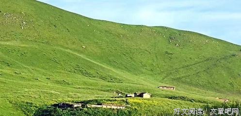 最全的鼹鼠的土豆名言名句