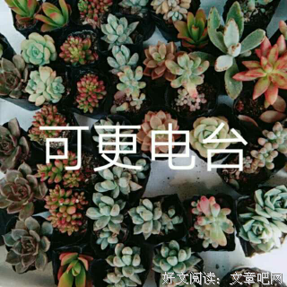 德卡先生的信箱名言大全