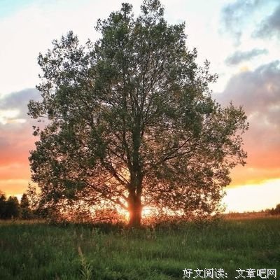 最全的《演员》经典的句子大全