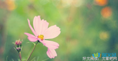 最新的《自由》小说句子大全