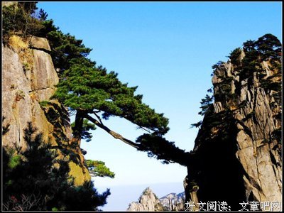 最新的《谨言》名句欣赏