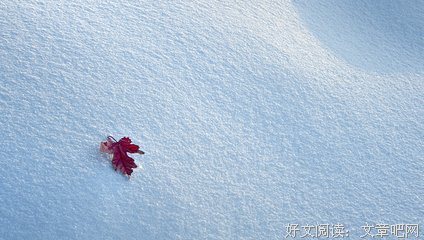《雪国》小说书摘大全