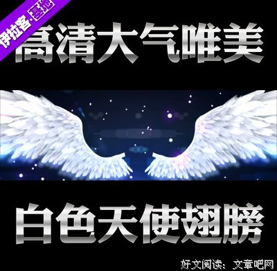 《同学录》小说摘抄