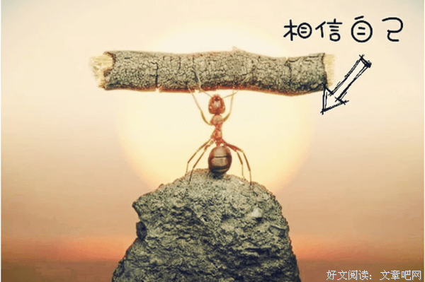 关于王之的唯美语录