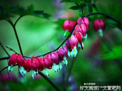 明天会更好优美的句子