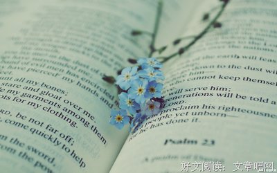 《良辰美景奈是好变物发到不》的句子